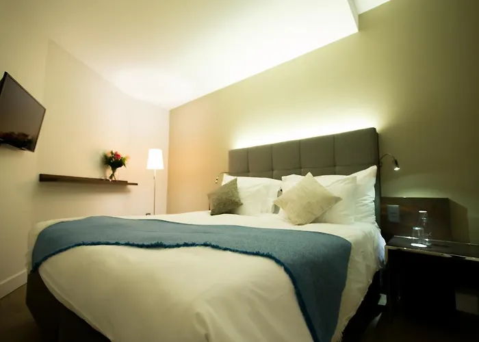 酒店 旅客精品酒店 3*