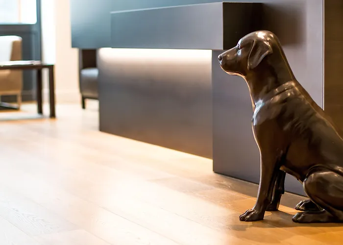 酒店 旅客精品酒店 3*