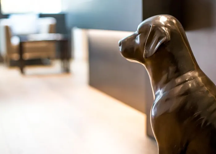 旅客精品酒店 酒店 洛桑